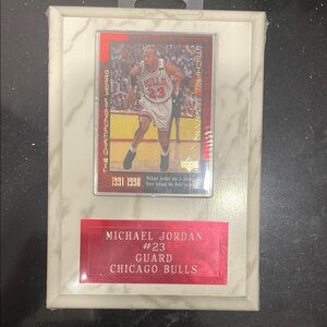 Michael Jordan Chicago Bulls Plaque with Card